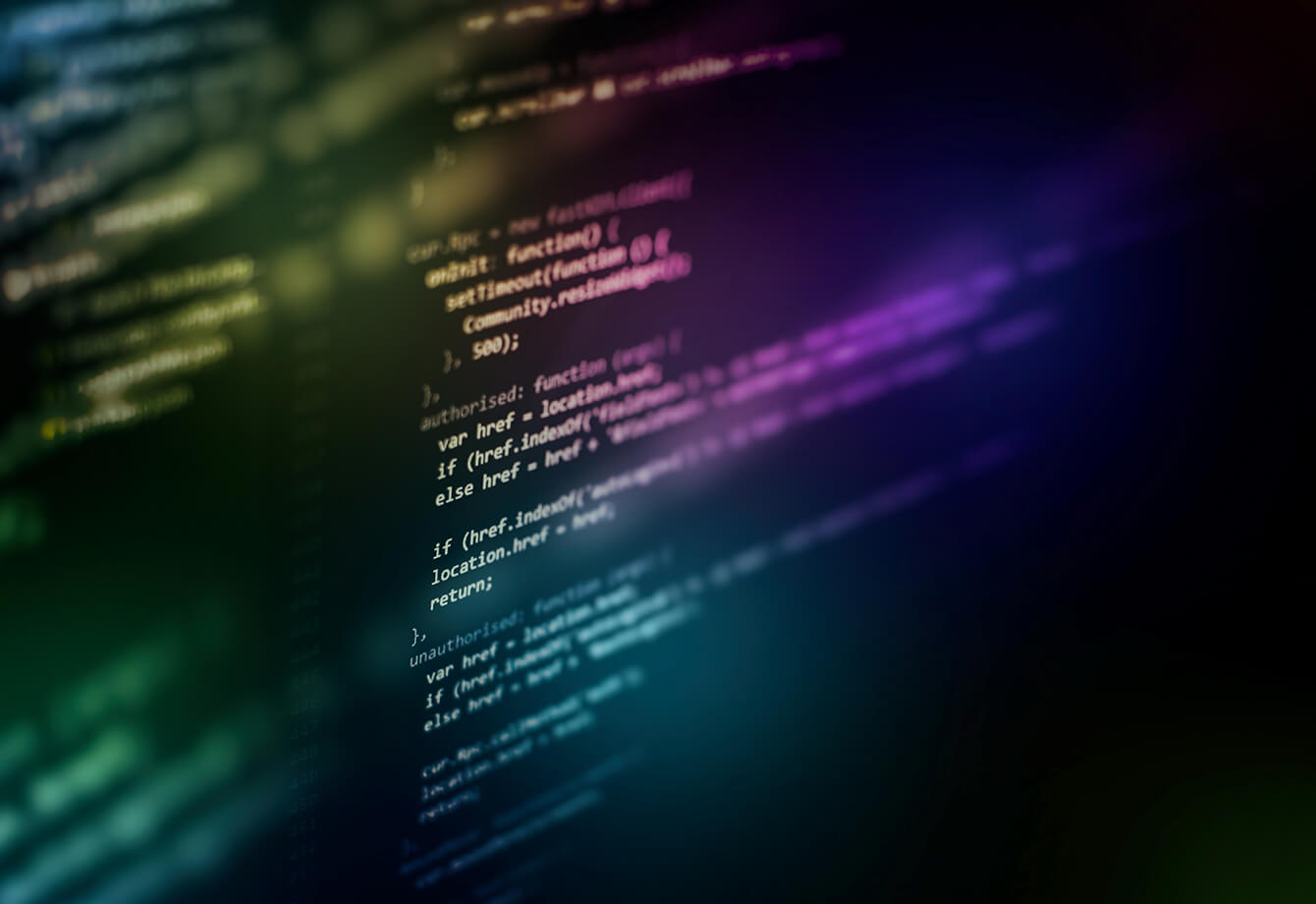 python.jpeg